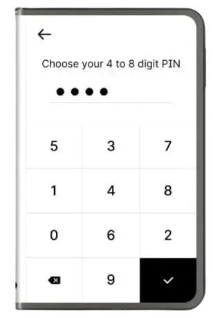 Ledger Stax Pin