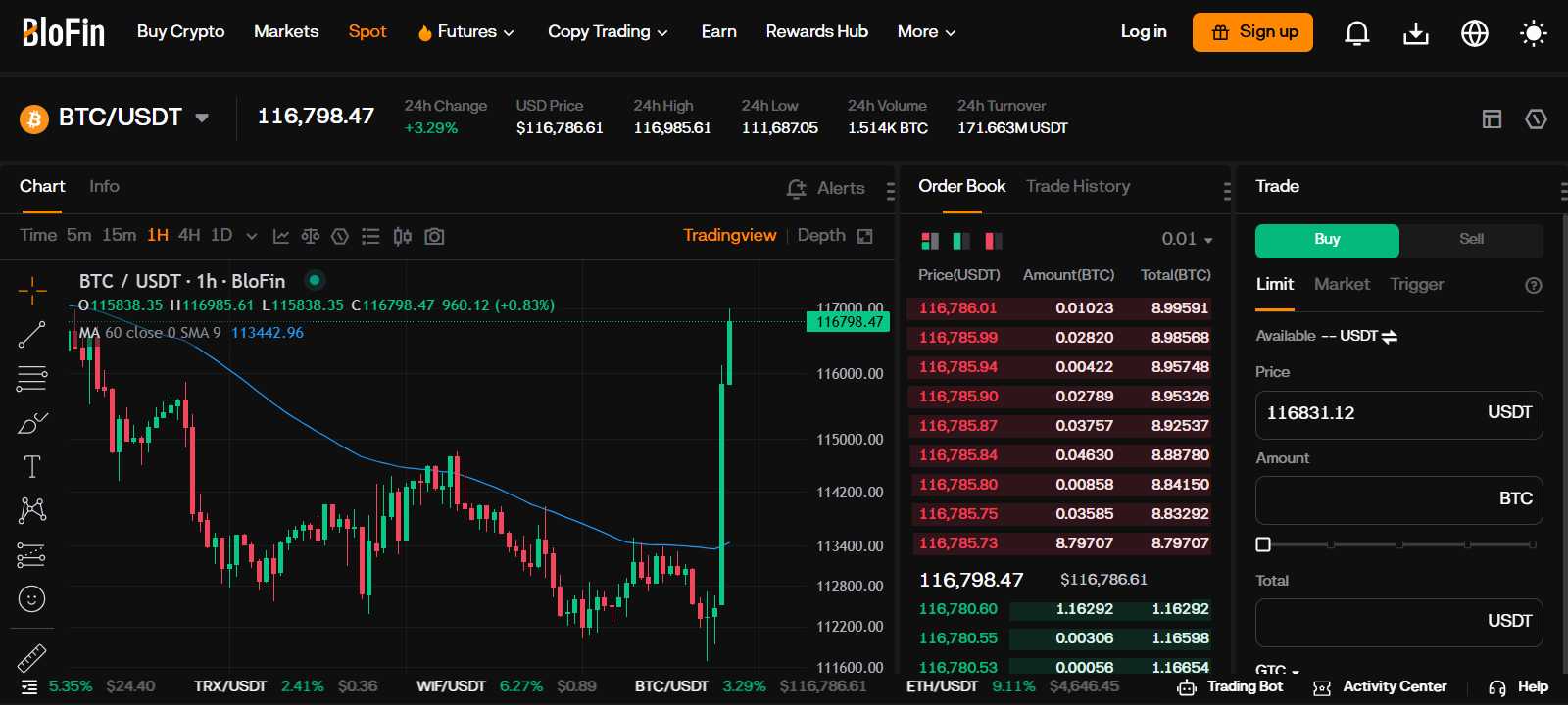 BloFin spot trading