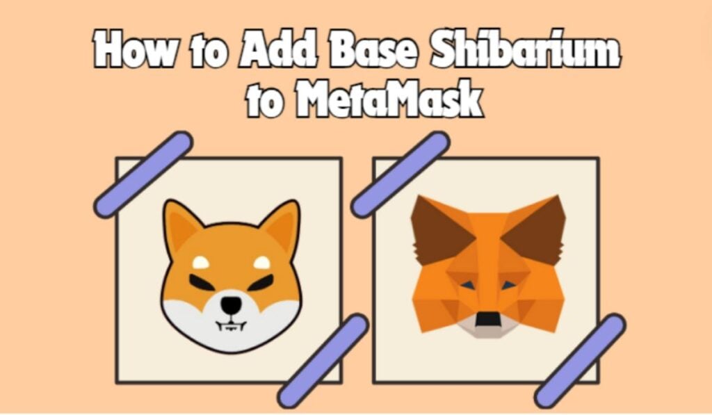 Add Base Shibarium Network to Metamask