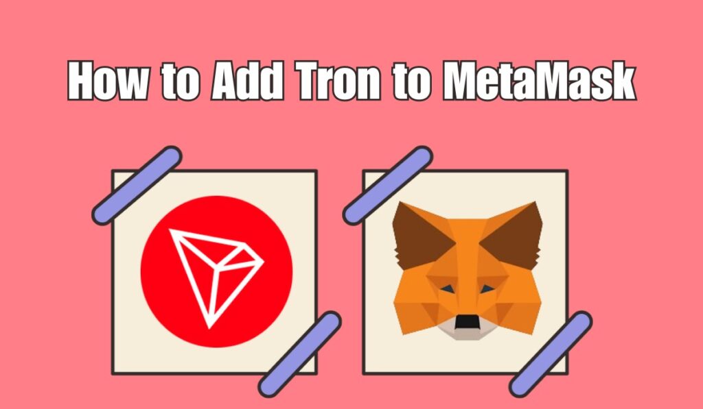 How to Add Tron to MetaMask