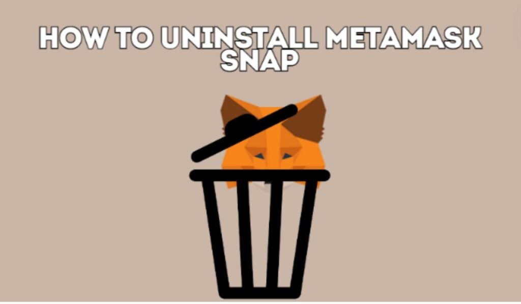 How to Uninstall MetaMask Snap