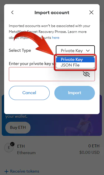 Import Options