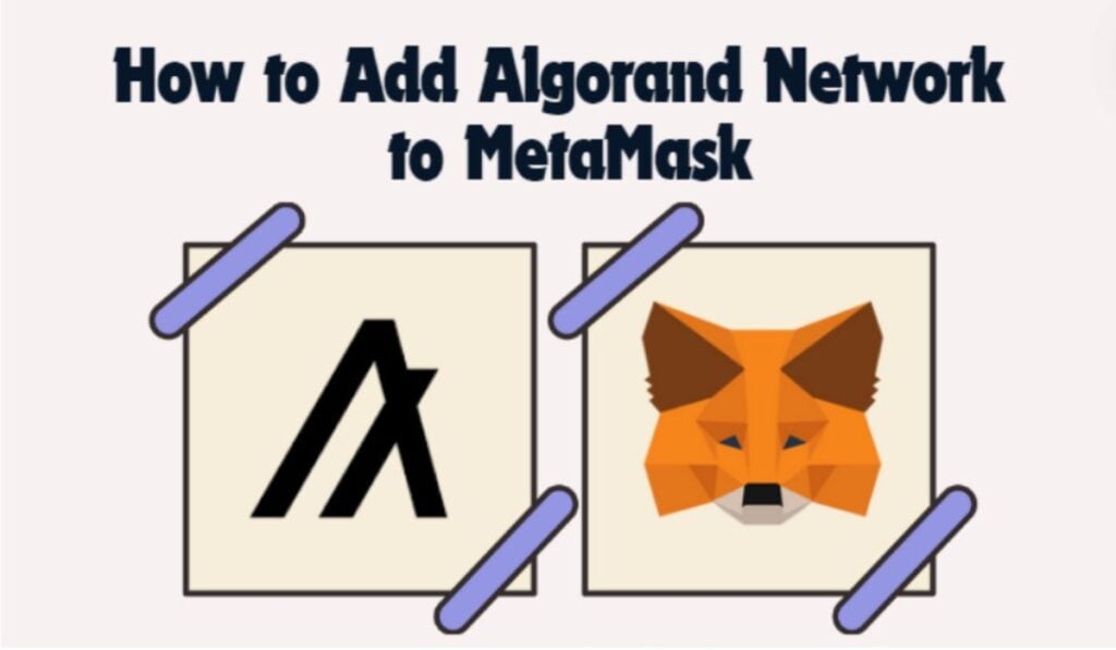 Add Algorand Network to MetaMask