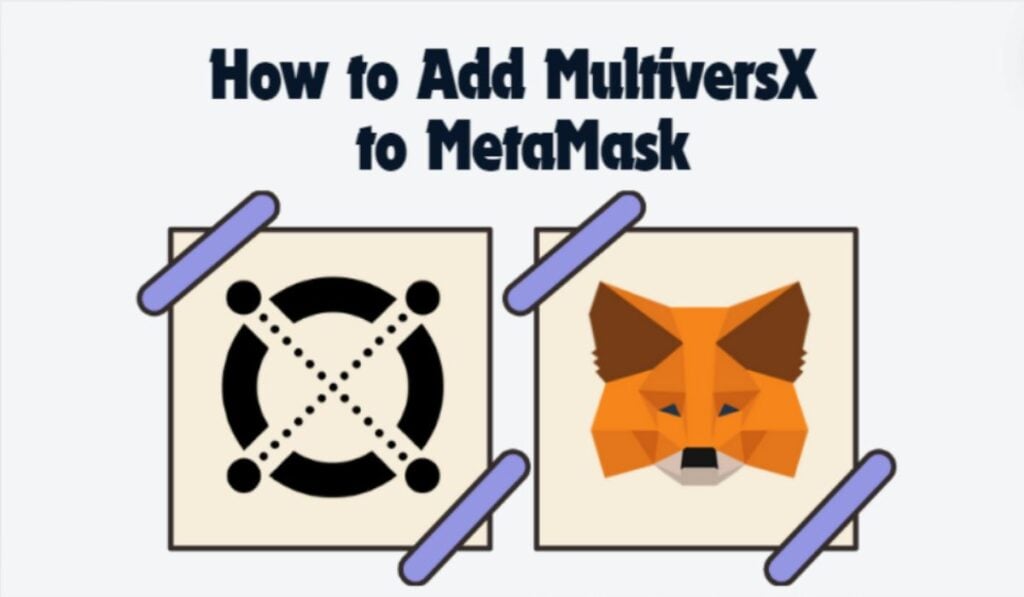 Add MultiversX to MetaMask