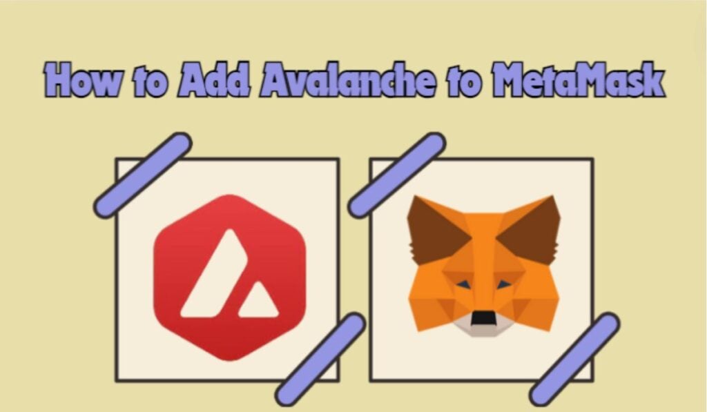 How to Add Avalanche to MetaMask