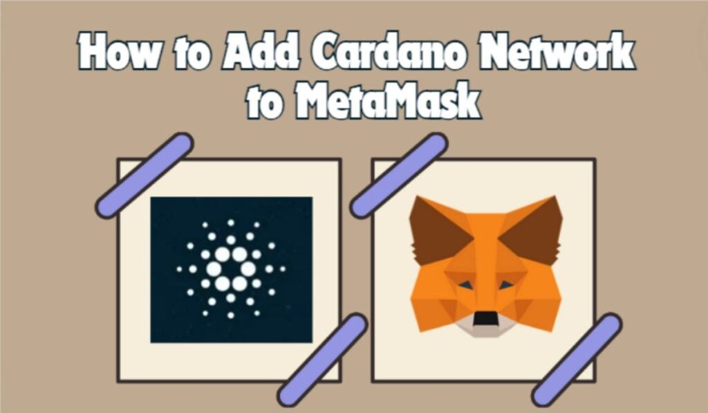 How to Add Cardano Network to MetaMask