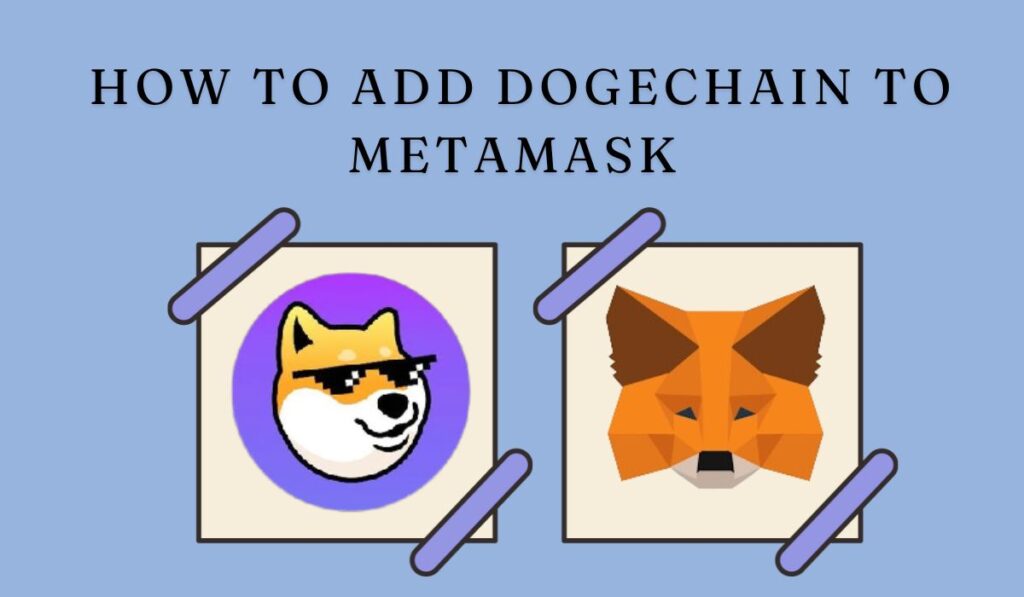 How to Add Dogechain to MetaMask