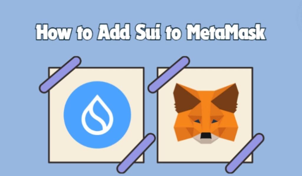 How to Add Sui to MetaMask