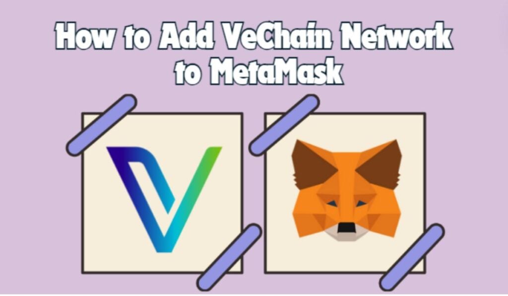 VeChain Network to MetaMask