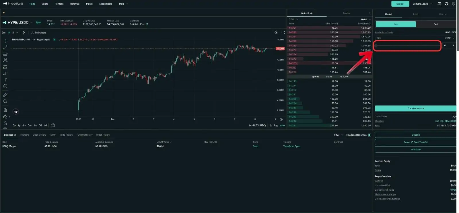 Hyperliquid Spot Market Order Set amount