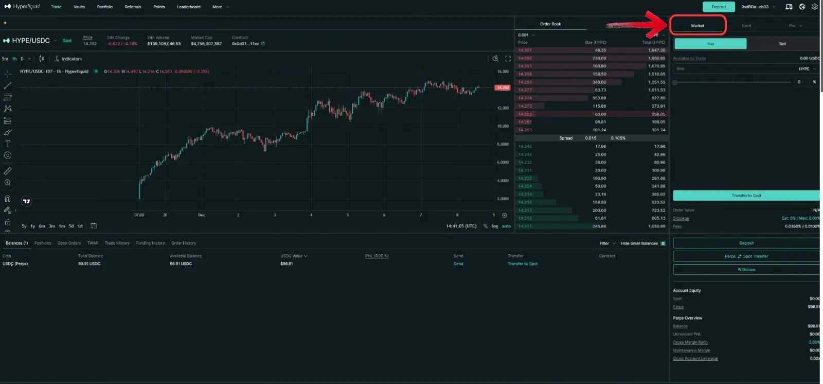 Hyperliquid Spot Market Order