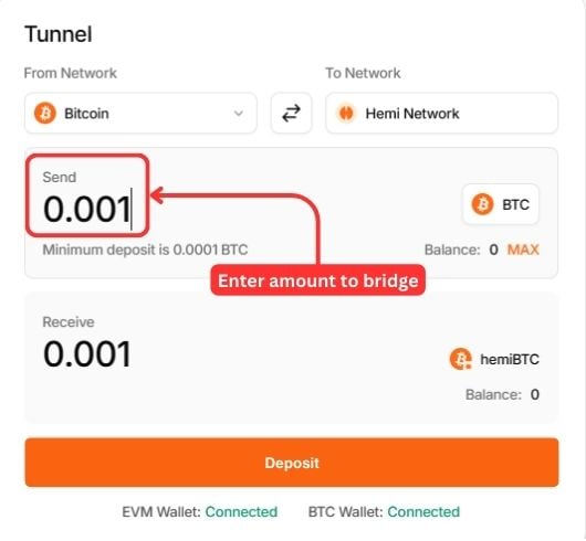 Bridge to Hemi Network