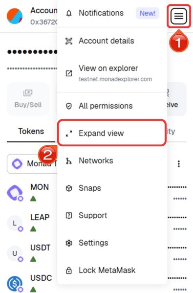 Expand MetaMask to full view