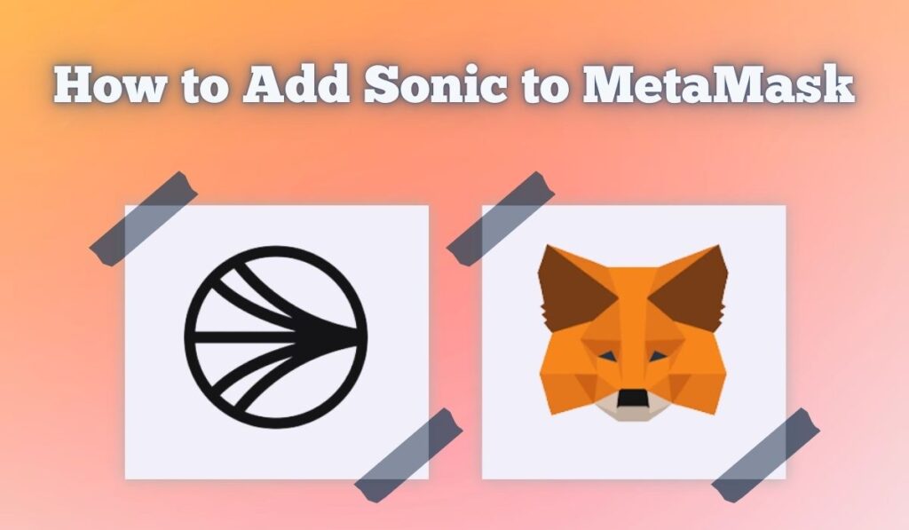 How to Add Sonic to MetaMask