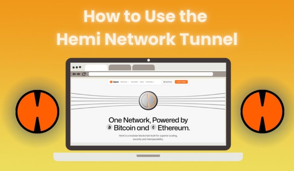 Bridge to Hemi Network