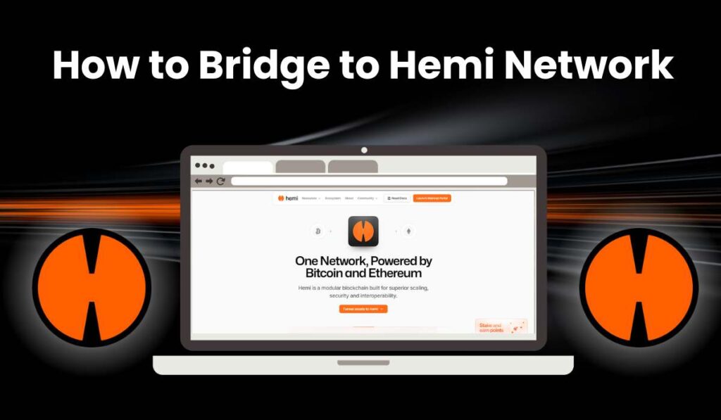 How to Bridge to Hemi network