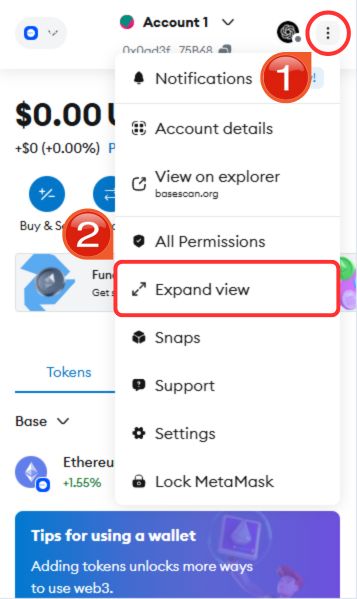 MetaMask Expand View