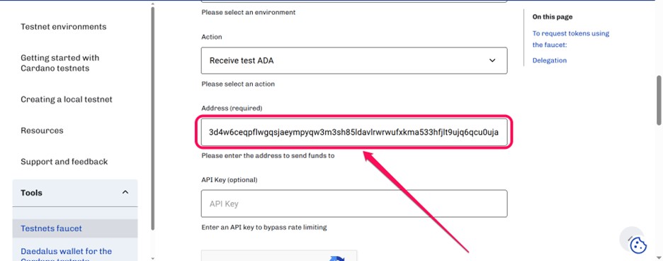 Paste Cardano Testnet Address