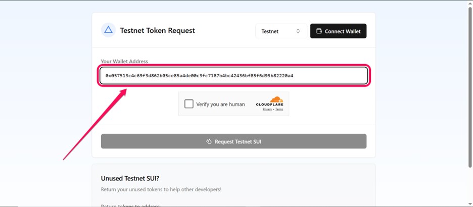 Paste SUI Testnet Wallet
