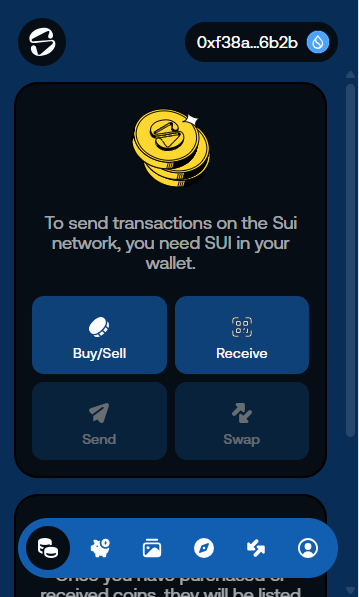 Slush Wallet Interface