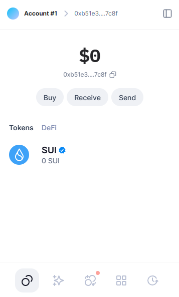 Suiet Wallet Interface