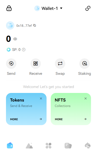 Surf Wallet Interface