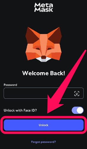 Access MetaMask with Password