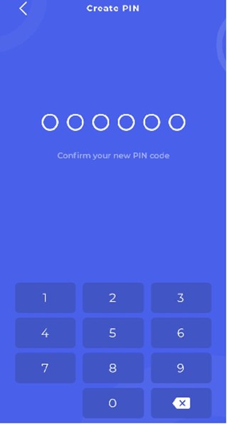 Create Bifrost Pin