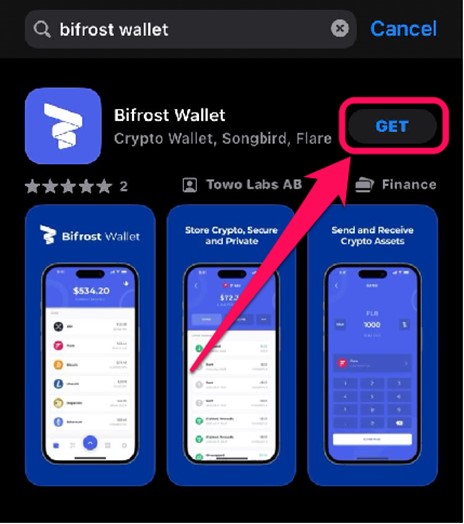 Install Bifrost Wallet