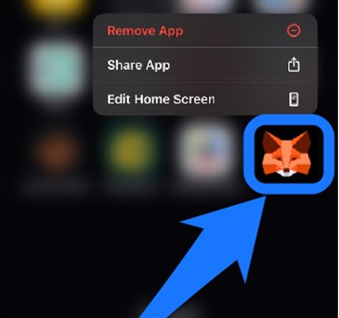 Launch MetaMask App