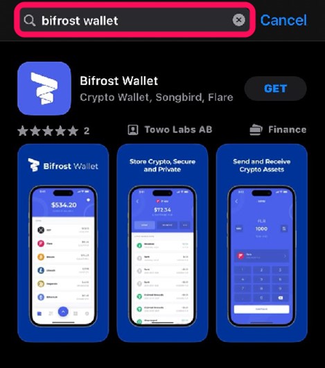 Search for Bifrost Wallet