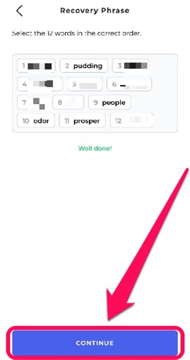 Verify Bifrost Seed Phrase