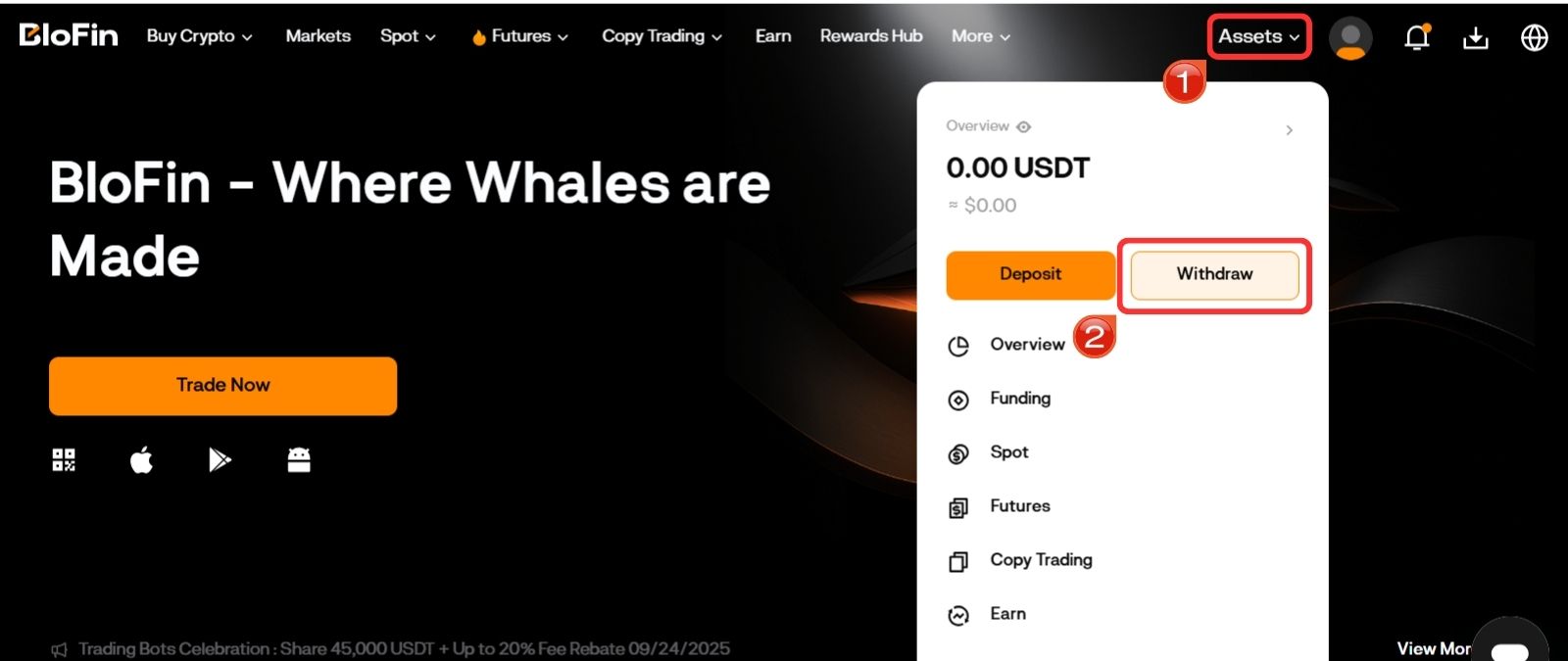 Blofin Homepage Withdraw