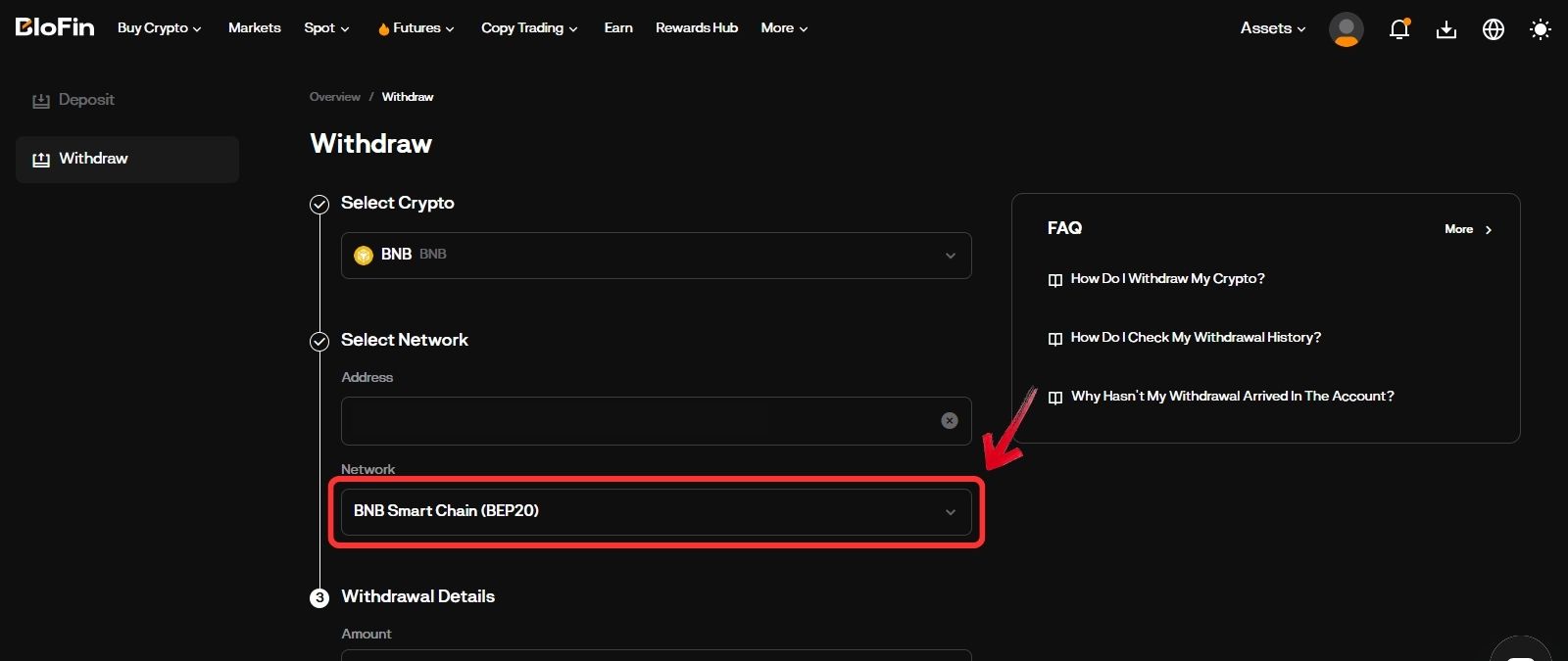 Blofin Withdraw Select Network