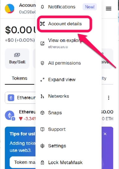 MetaMask Account Details