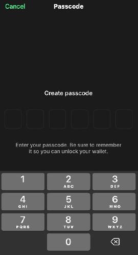 Create New Passcode