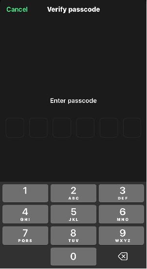 Manual Backup Recovery Phrase 2