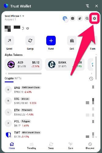 Trust Wallet Extension Settings