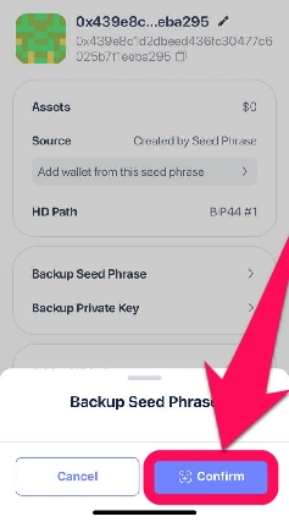 Confirm Backup Seed Phrase