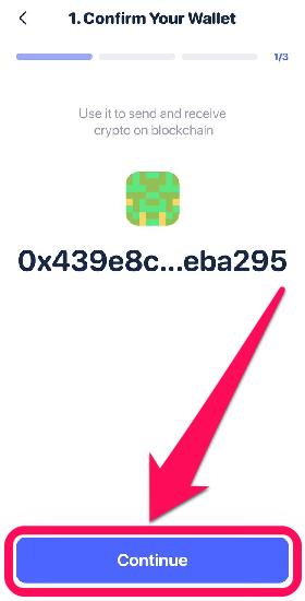Rabby Wallet Address