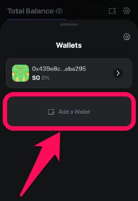 Add a New Wallet