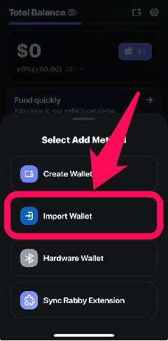 Import Wallet to Rabby