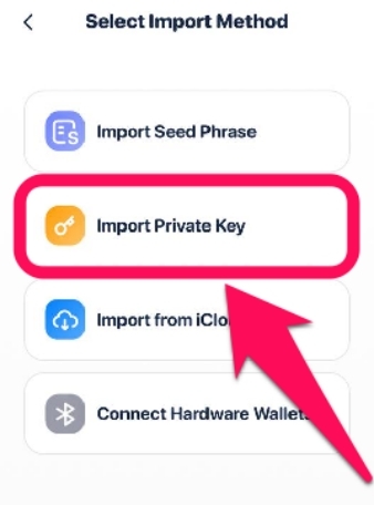 Import to Rabby Wallet2