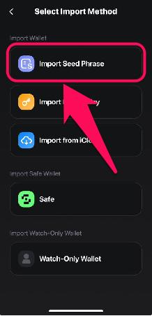 Import with Seed Phrase