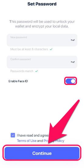 Set Rabby Wallet Password
