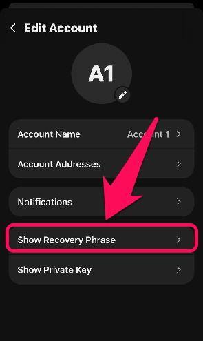 Show Phantom Recovery Phrase