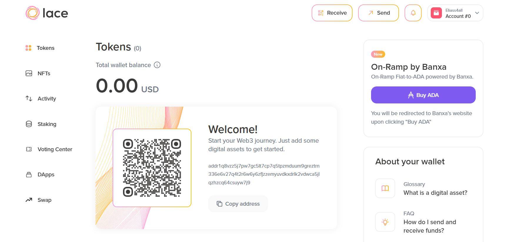 Lace Wallet Homepage