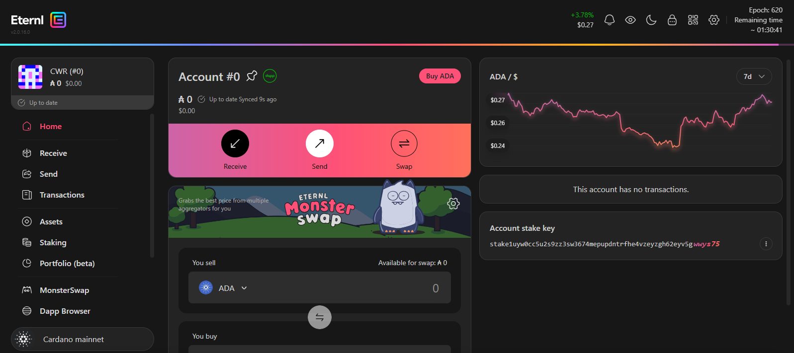 eternl wallet interface