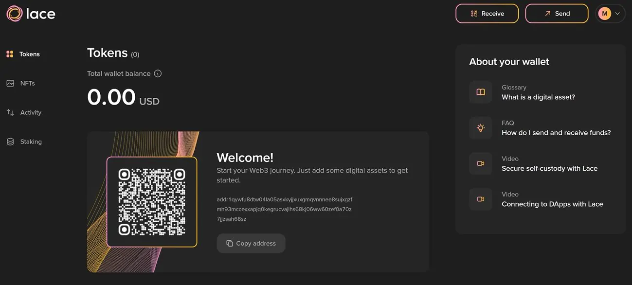 lace wallet interface