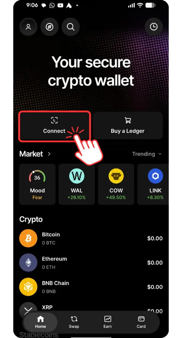Connect option on Ledger Waller mobile app